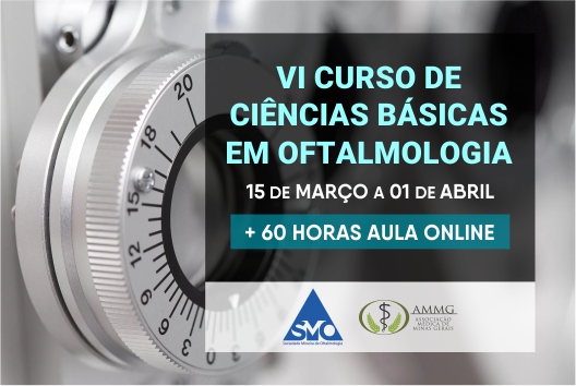 VI Curso de Ciências Básicas em Oftalmologia VI Curso de Ciências Básicas em Oftalmologia